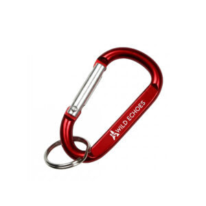 Carabiner Keychain